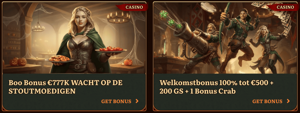 Promoties en Bonussen bij Wild Robin Casino